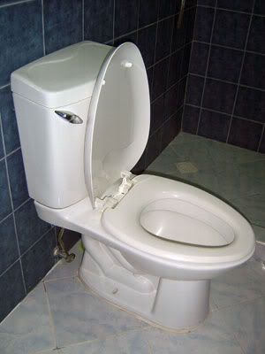 toilet-bowl.jpg