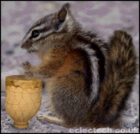chipmunk drum Pictures, Images and Photos