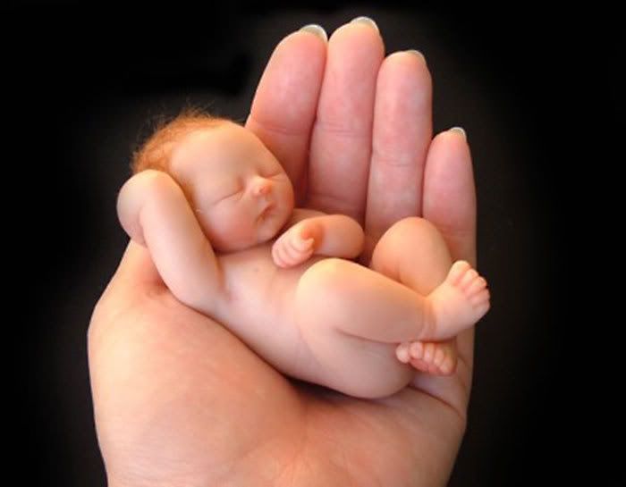 cute babies in hand