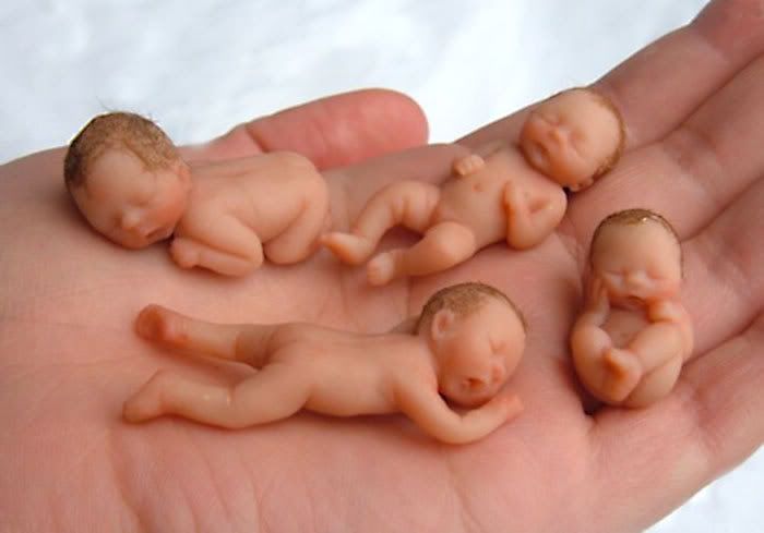 four baby in one hand [ctures