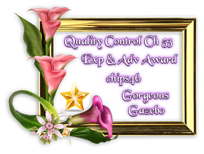 Ch53%20award%20chips46.png