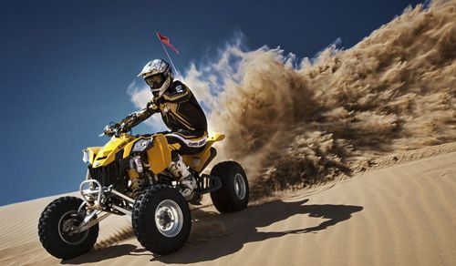 photo 2011-Can-Am-DS450-500_zps8e5a9f5d.jpg