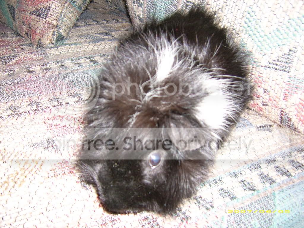 DSCI0148.jpg