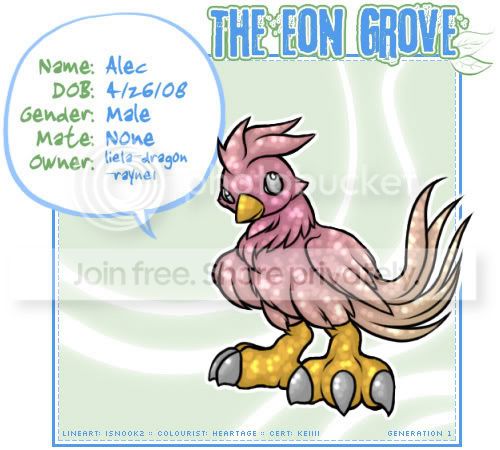 User Image