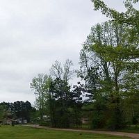  photo overcast_zps7y2hisfb.jpg