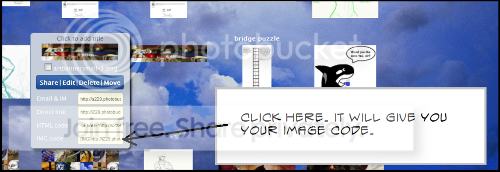 User Image