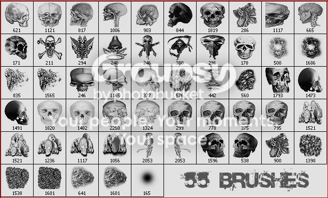 55_brushes.jpg
