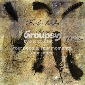 Feather_brushes___set_01_by_LunaNYX.jpg