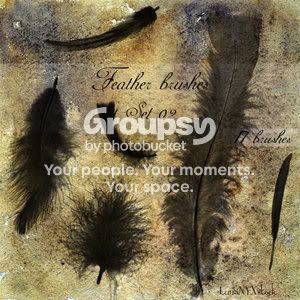 Feather_brushes___set_02_by_LunaNYX.jpg