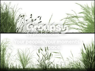 Thegrasslandsbrushes.jpg
