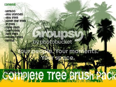 complete_tree_brush_pack.jpg