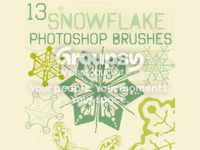 snowflake_brushes_by_chokingonstati.png