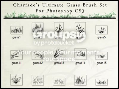the_ultimate_grass_brush_set_by_cha.jpg